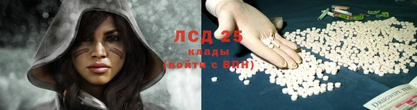 гидропоника Володарск